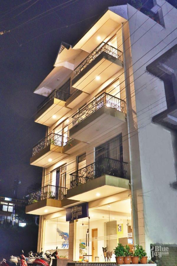 The Blue Jay Hostel - Dorms & Rooms Rishikesh Luaran gambar